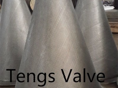 Stainless steel temporary strainer