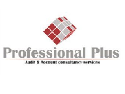 PROFESSIONAL PLUS - photo 1