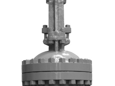 Flange ends gate valve