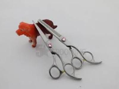 5 Star Grooming products - Dog Grooming Products Manufacturer - photo 2