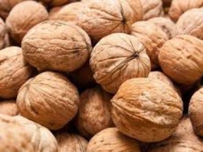 Walnuts - Pakistan