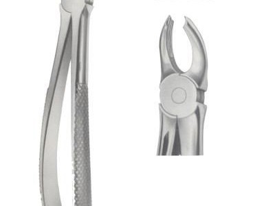 Dental Extracting Forceps English Pattern