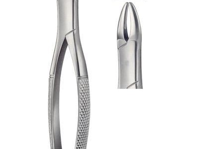 Dental Extracting Forceps American pattern