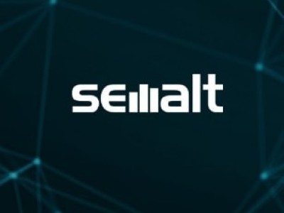 SEO Services Semalt - photo 1