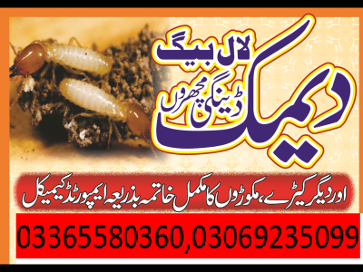 A TO Z Pesticide, fumigation and termite control  services  0336/5580360 - photo 1