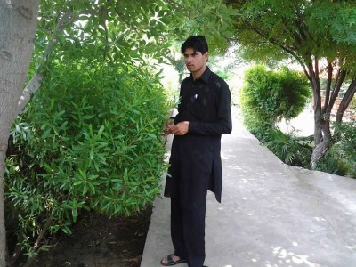Engineer - photo 1