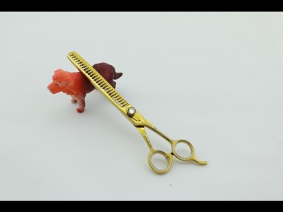 5 Star Grooming products - Dog Grooming Products Manufacturer - photo 4