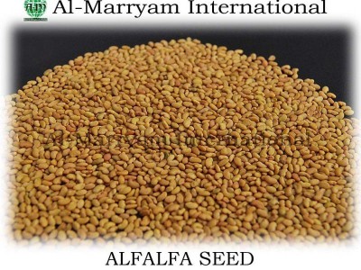 Al-Marryam International - photo 5