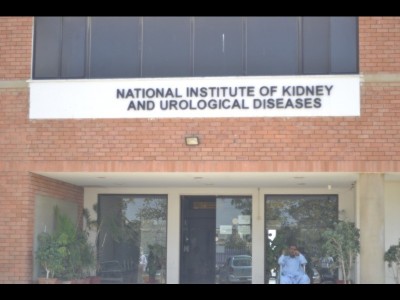 THE KIDNEY FOUNDATION - photo 4