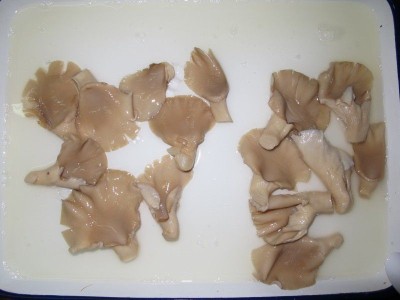 Zhangzhou Leading Foods Co.,Ltd - photo 24