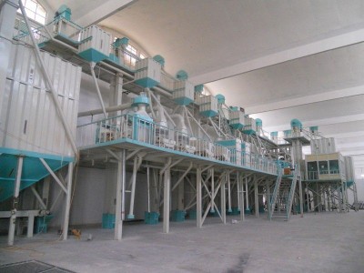 Rice Processing Plant of Capacity 10 M Tons/Hr