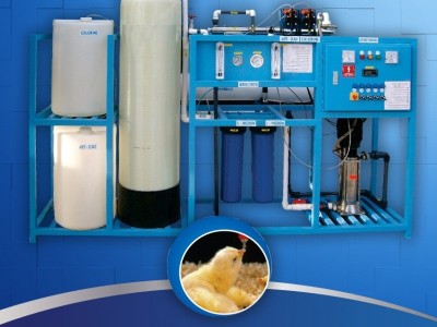 Reverse Osmosis (RO) Water for Poultry Farms - RO Filter for Poultry Shed in Pakistan - photo 3