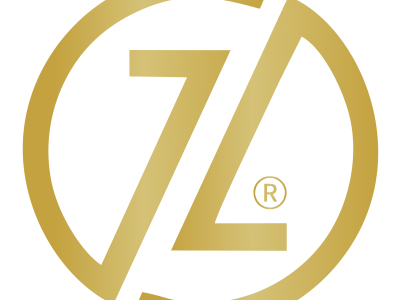 ZINGZON INSTRUMENTS - photo 1