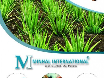 MINHAL INTERNATIONAL | 0092 345 7894023 - photo 4