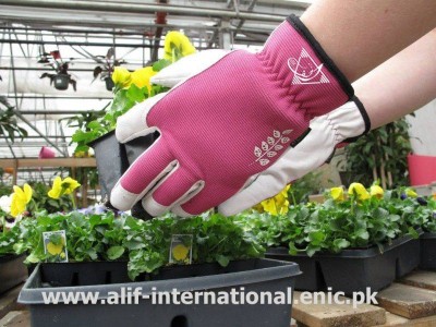 Art No ALIF 78602 GARDEN GLOVES