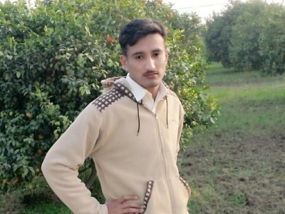 ginbase cotton - photo 1