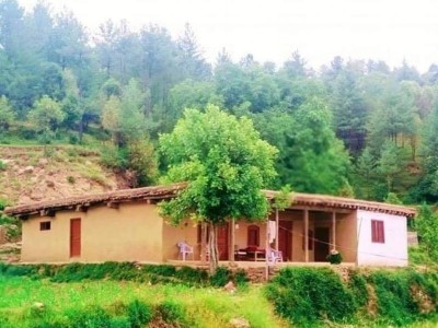 Skyland Trips - photo 3