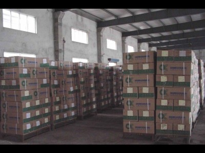 PET  FDY (Pak China business) - photo 11
