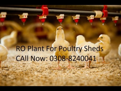 Reverse Osmosis (RO) Water for Poultry Farms - RO Filter for Poultry Shed in Pakistan - photo 1