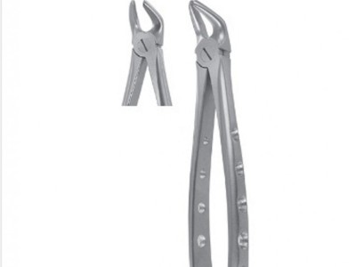 Thrush International Dental Instruments Supplier - photo 2
