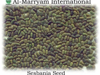 Al-Marryam International - photo 2