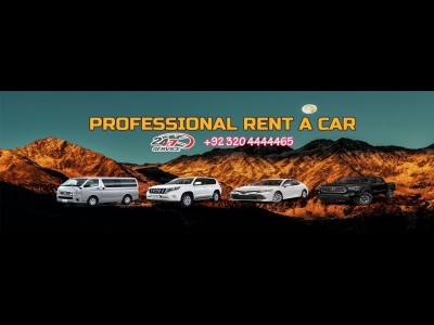 Professional Rent A Car - photo 1
