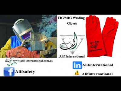 ALIF INTERNATIONAL - photo 65