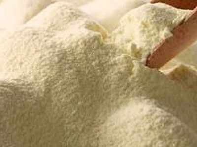 skimmed milk powder - photo 1